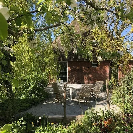 度假居 Kaethe Am Deich Modern Retreat
